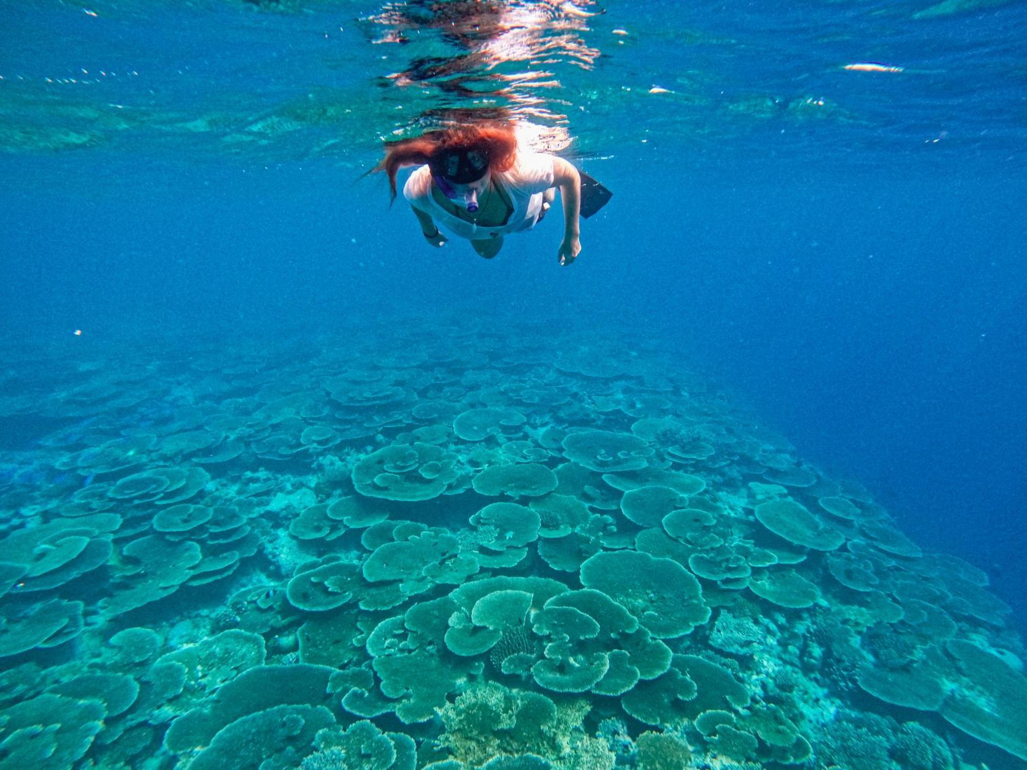 Manta Sea View Himandhoo Hotel Bagian luar foto